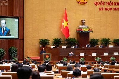 Sửa Luật Nhà ở: Cần hạn chế tối đa 'phân lô bán nền' ở đô thị