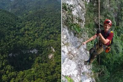 Hố sụt khổng lồ ở Phong Nha - Kẻ Bàng: Vì sao người đi rừng không phát hiện ra?