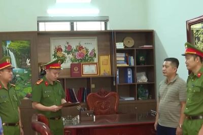 Chủ tịch xã bị bắt vì thông đồng với doanh nghiệp bán trái phép đất rừng, thu lợi bất chính 25,4 tỷ đồng