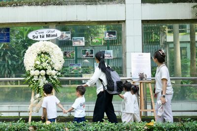 Ngậm ngùi chia tay sư tử trắng vừa qua đời ở Thảo Cầm Viên