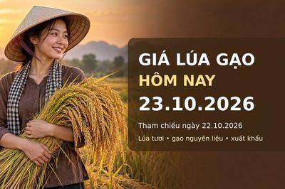 Giá lúa gạo hôm nay 23.10.2026: Gạo thơm xuất khẩu có lực đỡ