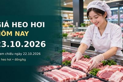 Giá heo hơi hôm nay 23.10.2026: Miền Bắc chịu sức ép