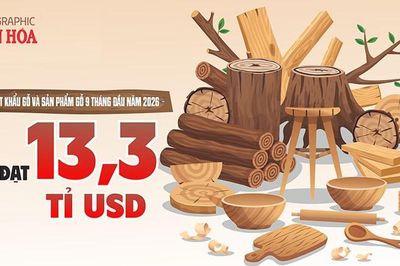 Xuất khẩu gỗ Việt Nam đạt 13,3 tỉ USD, Trung Quốc tăng mạnh
