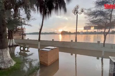 [Video] Cần Thơ cảnh báo triều cường vượt báo động III, nhiều nơi nguy cơ ngập sâu