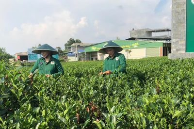Thúc đẩy chuyển đổi số trong nông nghiệp