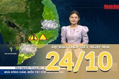 [Video] Dự báo thời tiết đêm nay và ngày mai 24/10/2026: Cả nước ít mưa, riêng miền Tây còn mưa dông