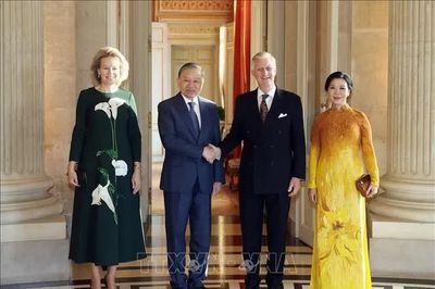 Tổng Bí thư, Chủ tịch nước Tô Lâm hội kiến Nhà vua Vương quốc Bỉ Philippe