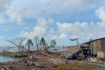 Cà Mau: Cần di dời hơn 3.200 hộ dân khỏi vùng thiên tai, khu vực rừng phòng hộ