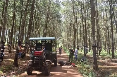 Tai nạn liên hoàn tại Gia Lai khiến 1 người thiệt mạng