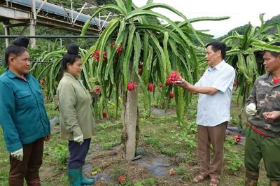 Hiệu quả từ đầu tư trường nghề ở vùng nông thôn Sơn La