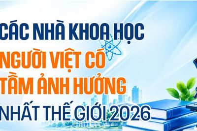 Các nhà khoa học người Việt có tầm ảnh hưởng nhất thế giới 2026