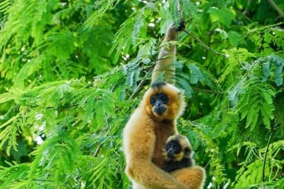 Lâm Đồng lấy ý kiến về điều chỉnh địa giới với thành phố Đồng Nai
