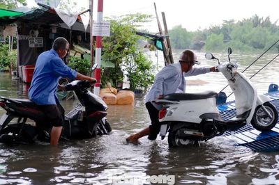 TPHCM sắp đón triều cường vượt báo động 3, nhiều nơi có thể ngập sâu