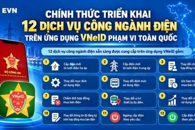 EVN chính thức triển khai 12 dịch vụ công ngành Điện trên VNeID