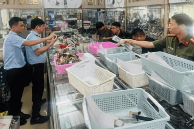 Khởi tố chủ cơ sở kinh doanh đồng hồ giả mạo thương hiệu nổi tiếng