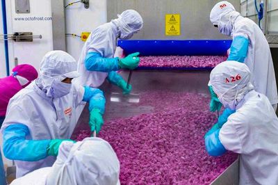 Tăng trưởng GDP hai con số: Tăng tốc đầu tư, đánh thức sức mua