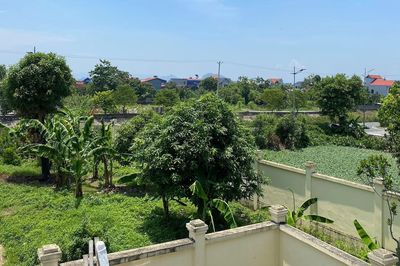 Bố mẹ mất, con gái muốn sang tên sổ đỏ đất thừa kế: Có phải phá nhà để đo đạc?