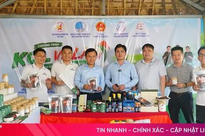 Hội Doanh nhân trẻ Hà Tĩnh đưa 'KOL về làng'