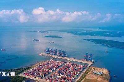 Tàu container YM WAYFINDER lần đầu cập Cảng Quốc tế Tân Cảng-Cái Mép