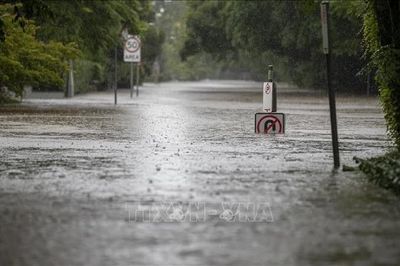 Australia đóng cửa trường học do lũ quét
