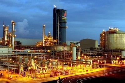 Trước đợt thanh tra, DPM từng lãi kỷ lục rồi lao dốc ra sao?