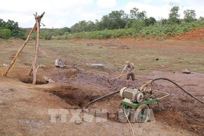 Nông sản tỷ USD Tây Nguyên trước phép thử hạn hán