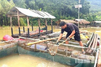 Chông chênh cùng con nước