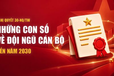 Nghị quyết 30-NQ/TW: Những con số về đội ngũ cán bộ đến năm 2030