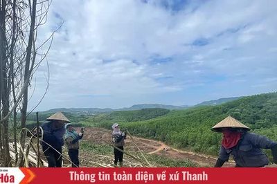 Gieo sinh kế giữa đại ngàn