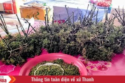 Độc đáo sản vật chợ Sầm Nưa