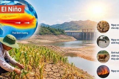 Cảnh báo nguy cơ hàng nghìn ha cây trồng thiếu nước do El Niño