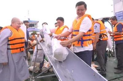 Xã Lai Vung, Lấp Vò: Thả cá tái tạo nguồn lợi thủy sản