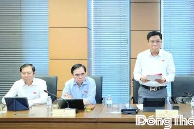 Đại biểu Quốc hội tỉnh Đồng Tháp thảo luận nhiều nội dung về xây dựng luật pháp
