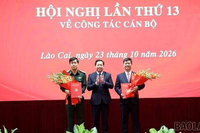 Hội nghị lần thứ 13 Ban Chấp hành Đảng bộ tỉnh về công tác cán bộ