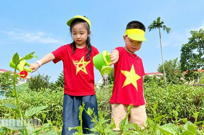 “Vườn rau cho bé”: Gieo mầm từ những lớp học xanh