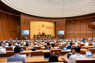 Đại biểu Quốc hội tỉnh đề nghị kiểm soát chặt chẽ việc trưng mua, trưng dụng tài sản