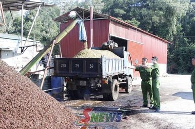 Bảo vệ môi trường trong sơ chế, chế biến cà phê