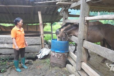 Hiệu quả chương trình hỗ trợ chăn nuôi tại Vĩnh Thông