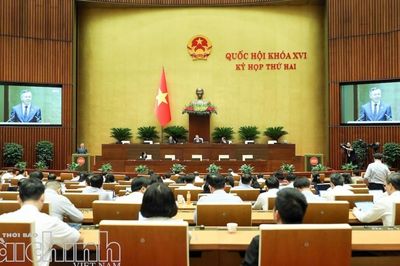 Đề xuất áp thuế 0,2% với đất bỏ hoang, đất chậm đưa vào sử dụng