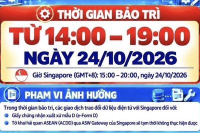 Ngày 24/10: Hải quan cảnh báo gián đoạn 5 giờ giao dịch e-Form D, ACDD với Singapore