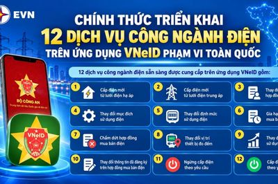 Chính thức triển khai 12 dịch vụ công ngành điện trên ứng dụng VNeID