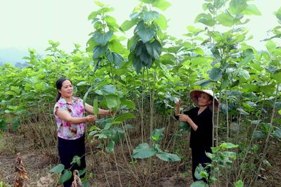 Xây dựng mô hình phát triển kinh tế gắn với chương trình mục tiêu để giảm nghèo