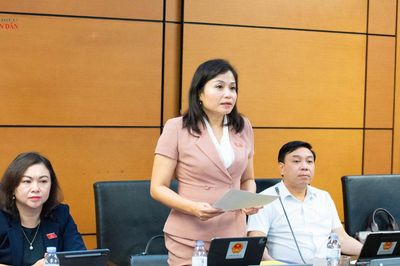 Bảo đảm doanh nghiệp có năng lực được tham gia cạnh tranh bình đẳng