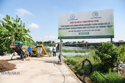 Hiệu quả từ mô hình Hợp tác xã Sông Giá ở Hải Phòng