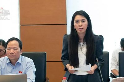Đánh thuế đất bỏ hoang: Phải rõ đối tượng, tránh chồng chéo