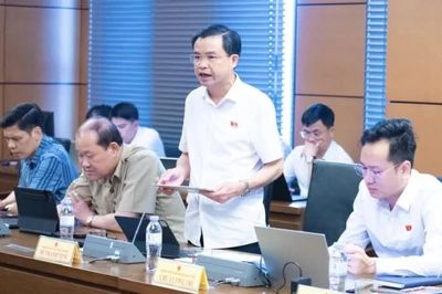 Đại biểu Quốc hội tỉnh thảo luận góp ý hoàn thiện các dự án luật về đất đai, nhà ở, kinh doanh bất động sản
