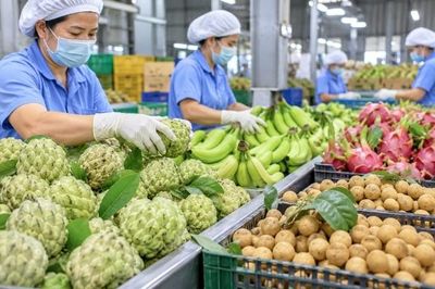 58 thông báo SPS liên quan đến an toàn thực phẩm và kiểm dịch