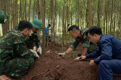 Quy tập được 20 hài cốt liệt sỹ cùng nhiều di vật trong rừng tràm ở Quảng Trị