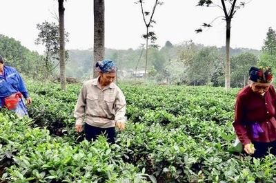 Hà Nội ban hành quy định chuẩn nghèo đa chiều giai đoạn 2027-2030