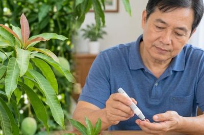 Lá xoài có giúp kiểm soát đường huyết ở người bệnh đái tháo đường?